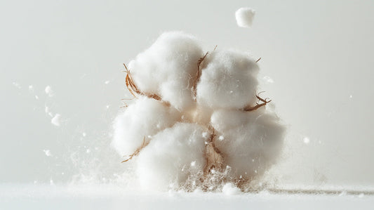 How Good Is Supima Cotton?